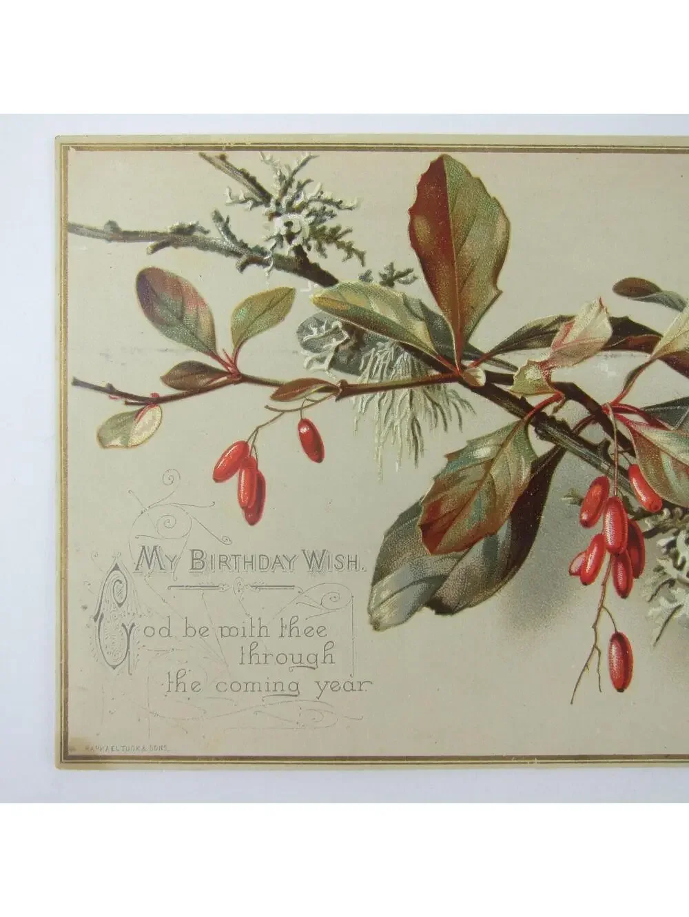 Victorian Birthday Greeting Card Red Barberry Branch Raphael Tuck & Sons Antique